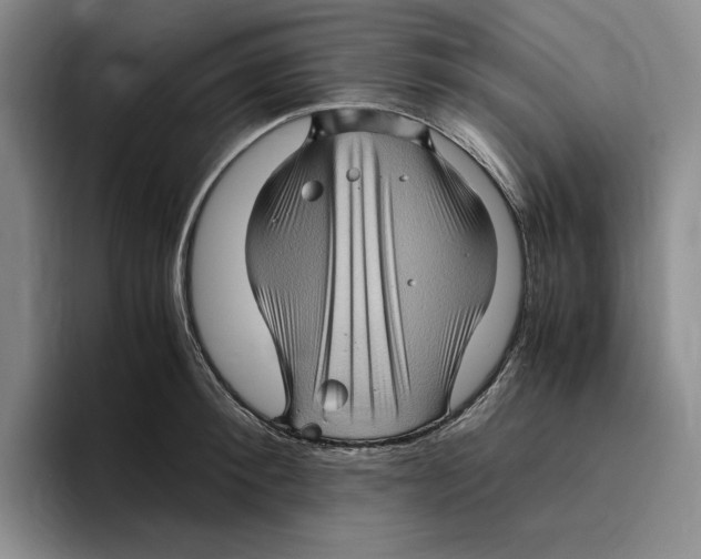 X0000096400900200802211201