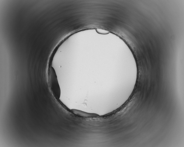 X0000096400902200802211201