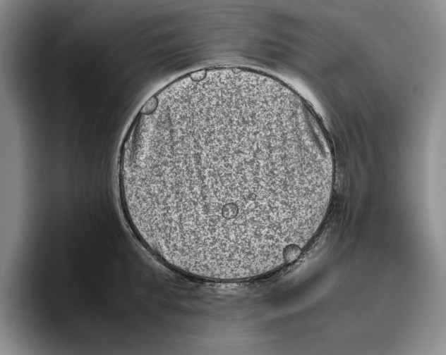 X0000096400903200802211201