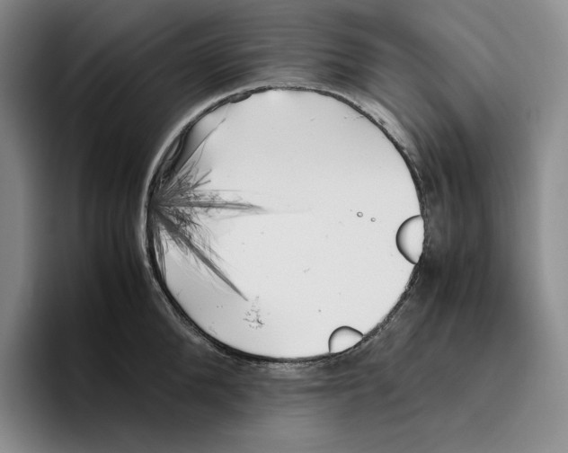 X0000096400904200802211201