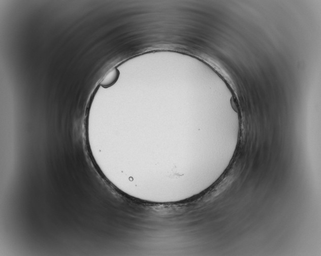 X0000096400906200802211201