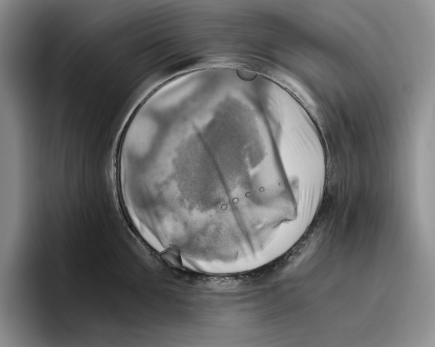 X0000096400907200802211201