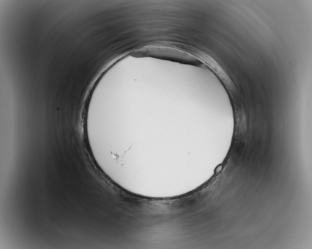 X0000096400908200802211201