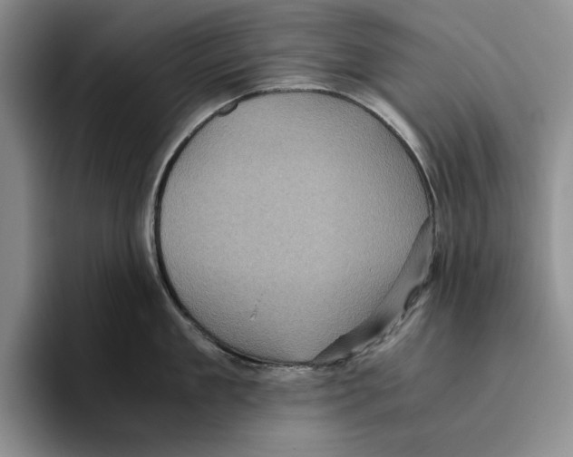 X0000096400909200802211201