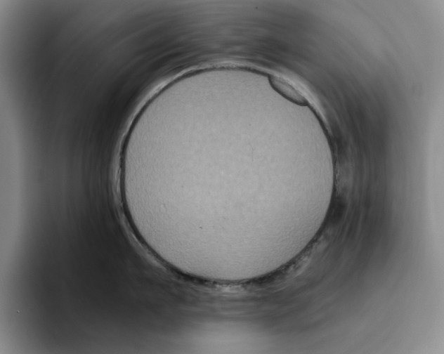 X0000096400911200802211201