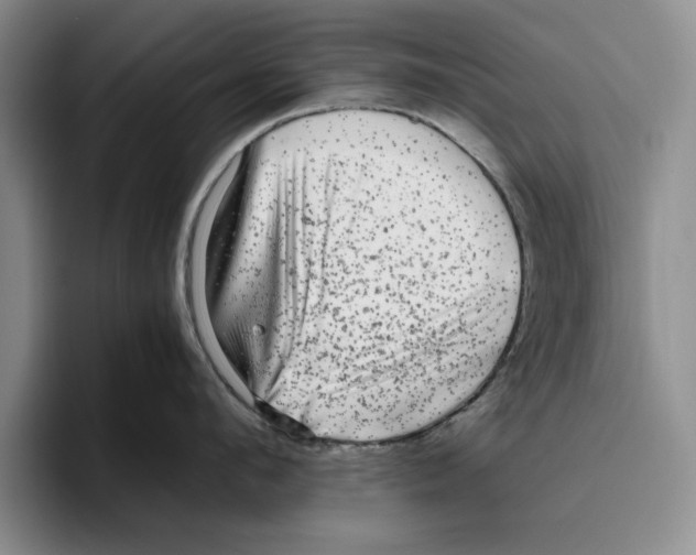 X0000096400912200802211201