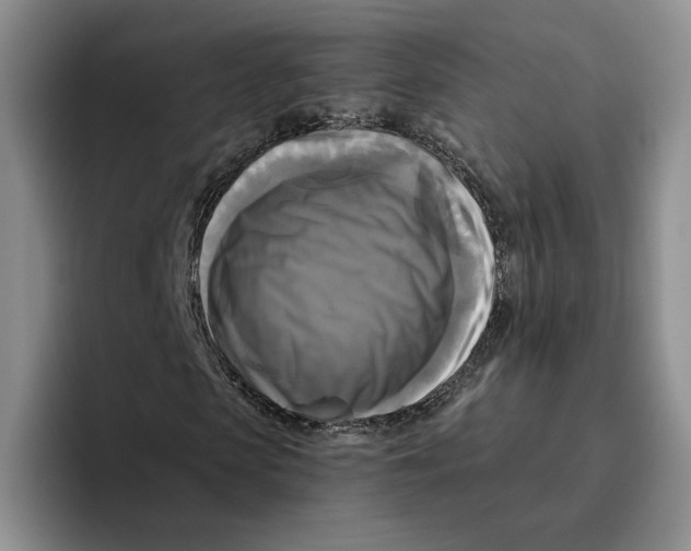 X0000096400913200802211200