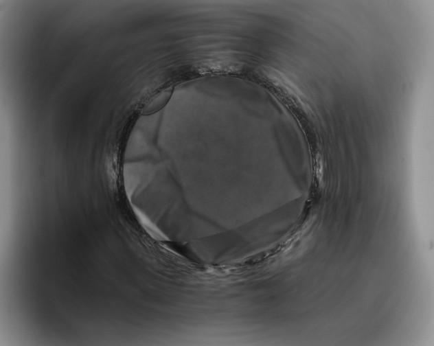 X0000096400915200802211200