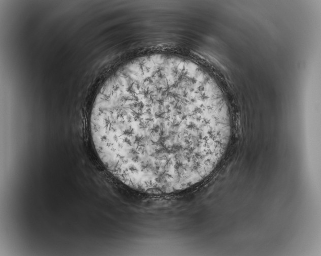 X0000096400917200802211200