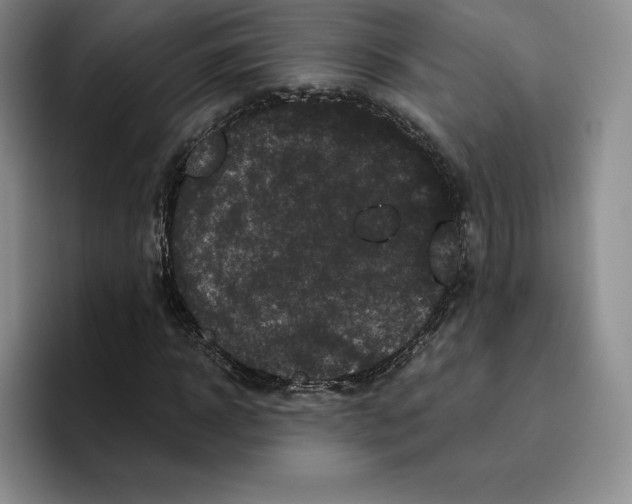 X0000096400918200802211200