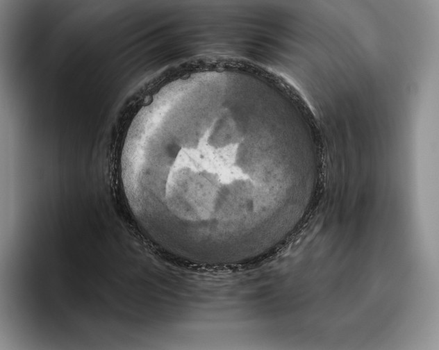 X0000096400919200802211200