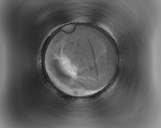 X0000096400923200802211200