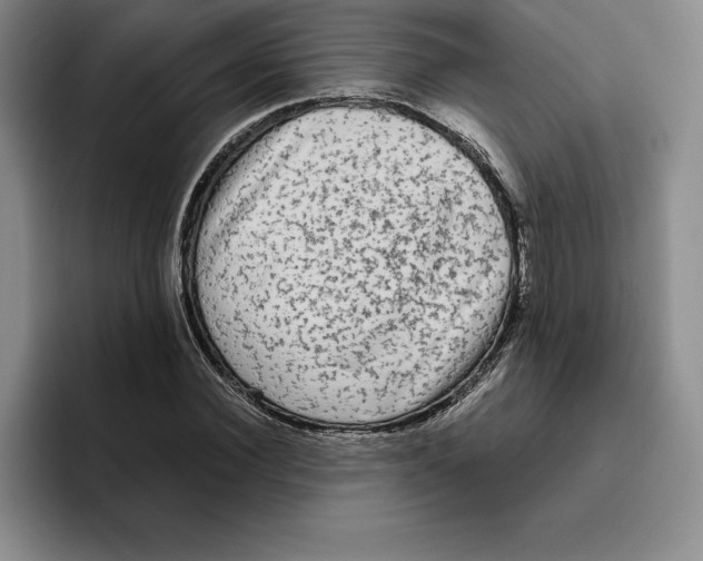 X0000096400924200802211200