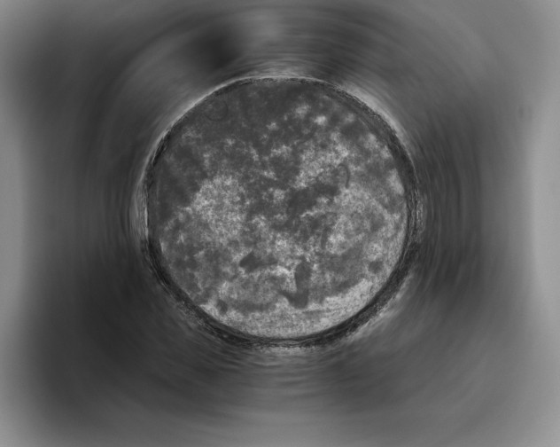 X0000096400925200802211200