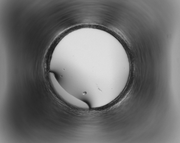 X0000096400926200802211200