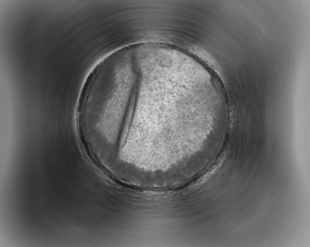 X0000096400928200802211200