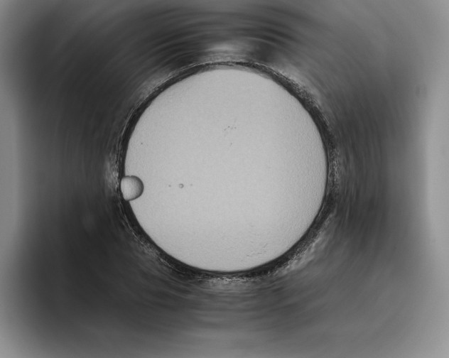 X0000096400929200802211200