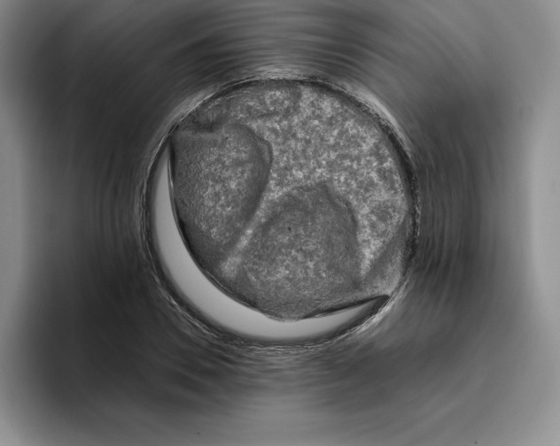 X0000096400930200802211200