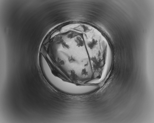 X0000096400932200802211200
