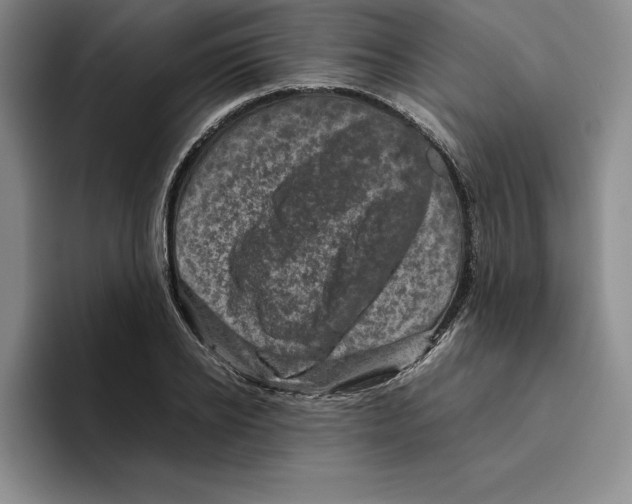 X0000096400934200802211200