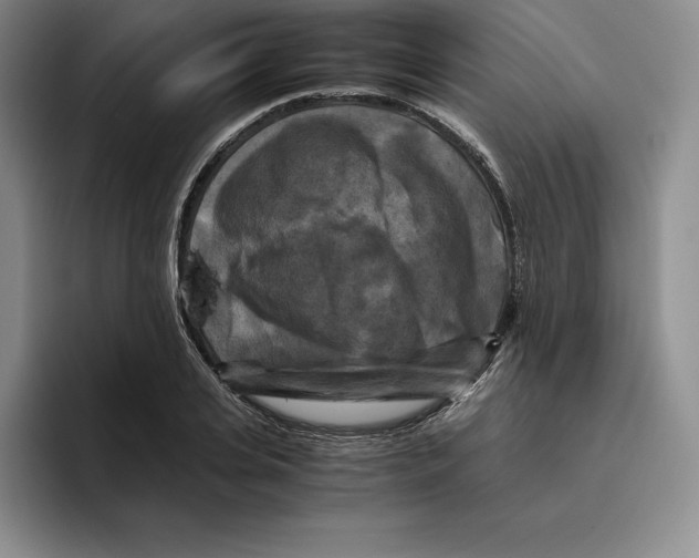 X0000096400935200802211200