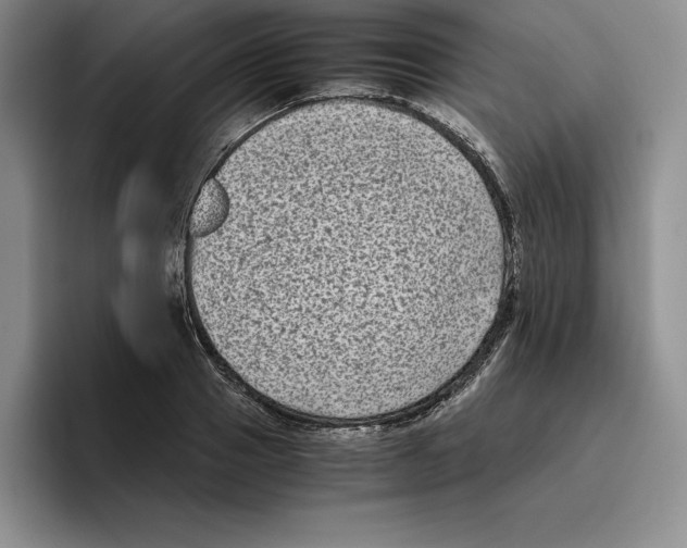 X0000096400937200802211200