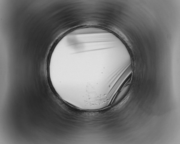 X0000096400939200802211200