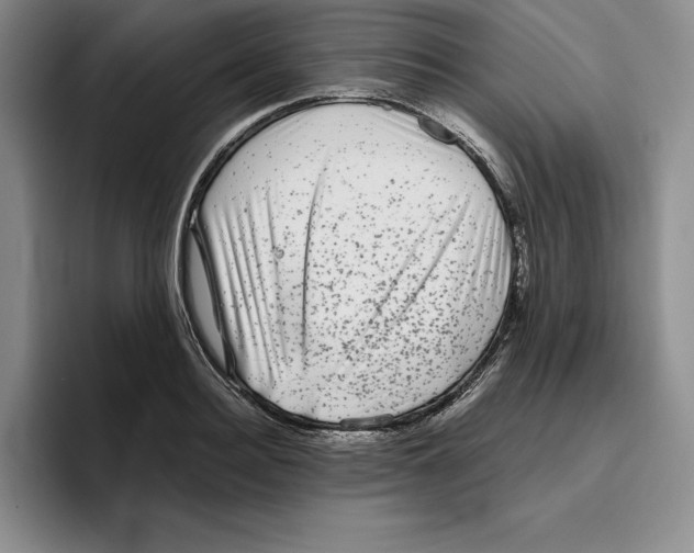 X0000096400940200802211200