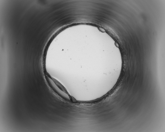 X0000096400942200802211200