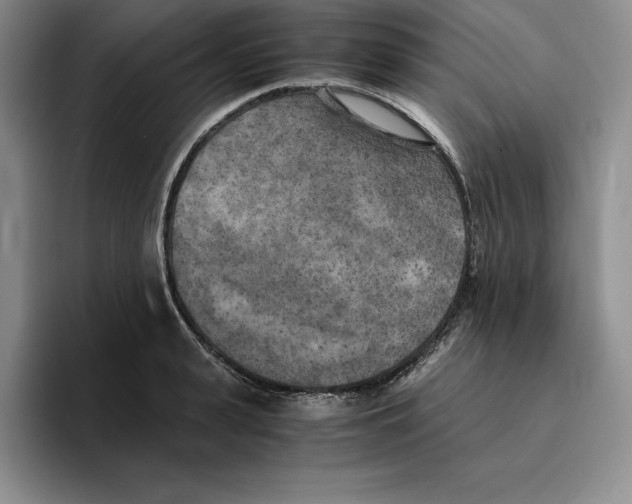 X0000096400943200802211200