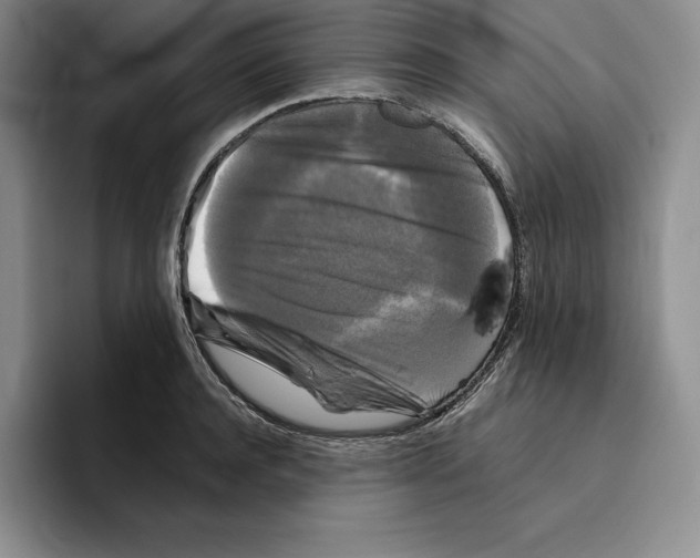 X0000096400944200802211200