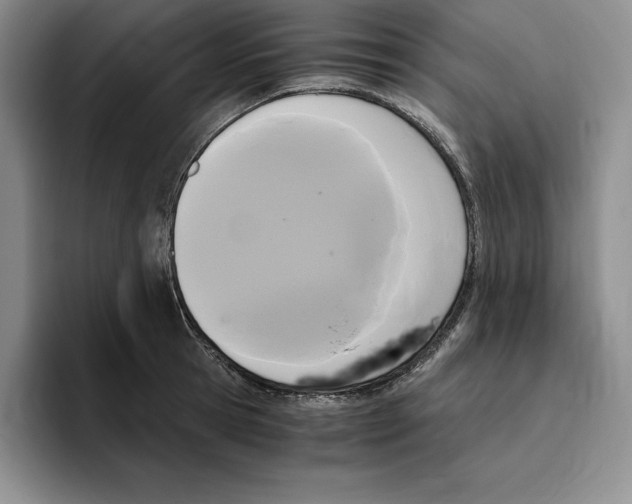 X0000096400945200802211200