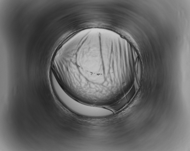 X0000096400946200802211200