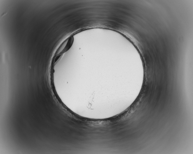 X0000096400949200802211200