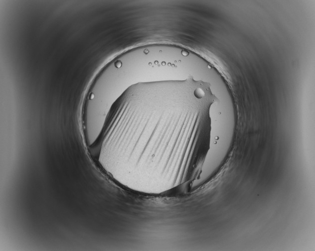 X0000096400950200802211200