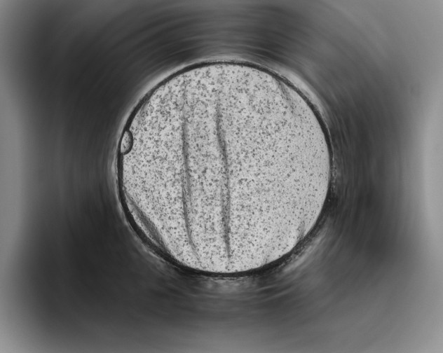 X0000096400951200802211200