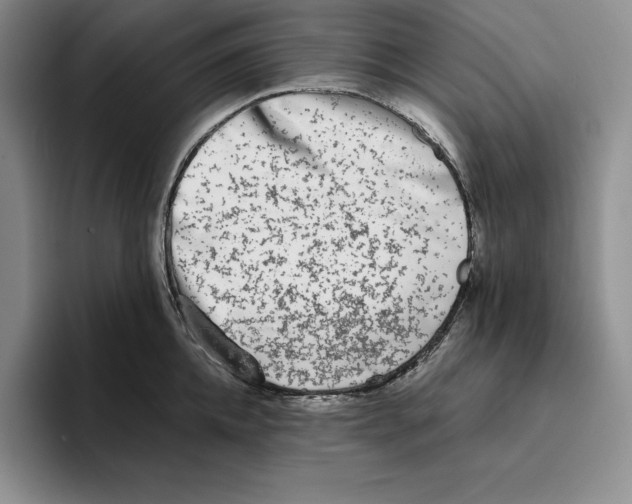 X0000096400952200802211200