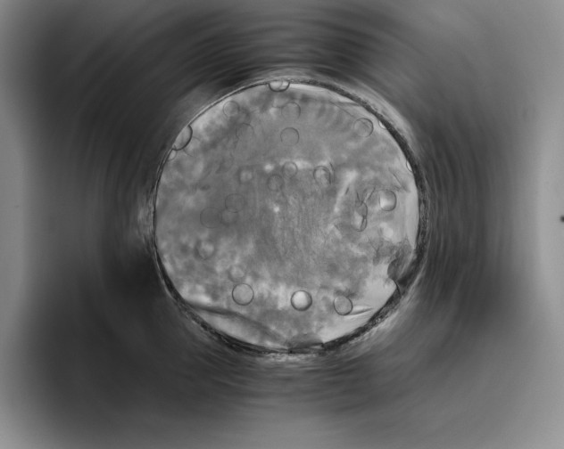 X0000096400953200802211200