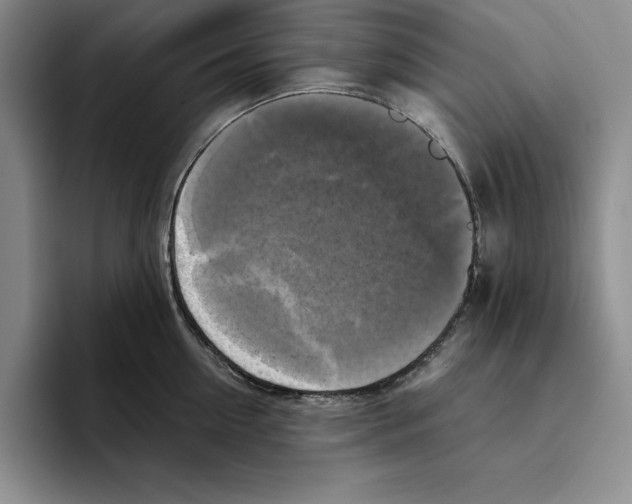 X0000096400954200802211200