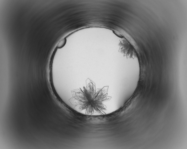 X0000096400955200802211201