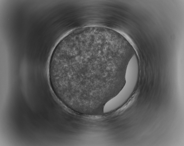 X0000096400957200802211201