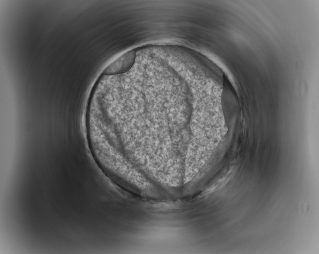 X0000096400959200802211201