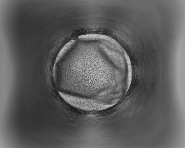 X0000096400961200802211200