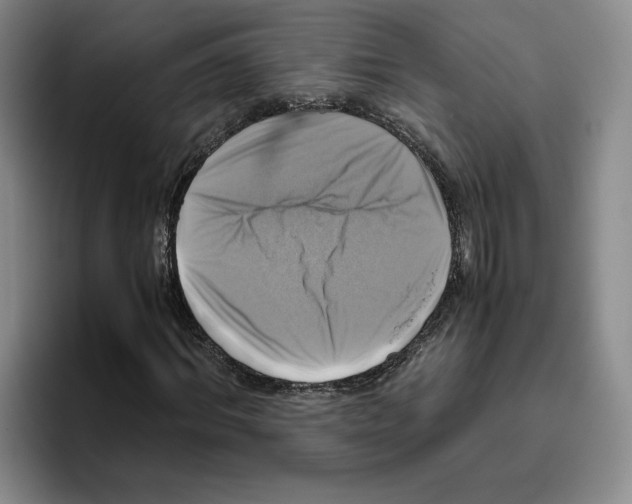 X0000096400964200802211200