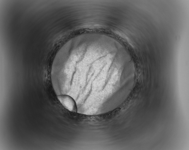 X0000096400966200802211200