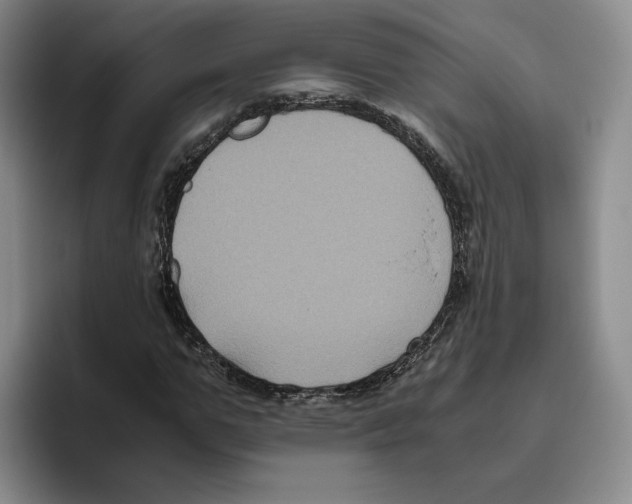 X0000096400967200802211200