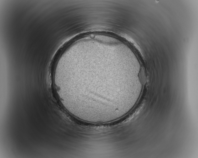 X0000096400973200802211200