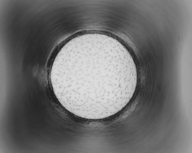 X0000096400974200802211200