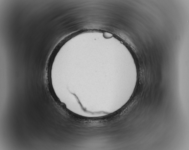 X0000096400976200802211200