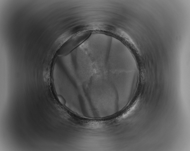 X0000096400977200802211200